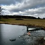 Feriehus Klid Na Kraji Lesa V Ceske Kanade - Cely Dum Nová Bystřice