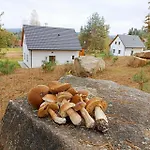 Klid Na Kraji Lesa V Ceske Kanade - Cely Dum Feriehus