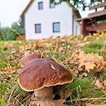 Dom wakacyjny Klid Na Kraji Lesa V Ceske Kanade - Cely Dum Nová Bystřice