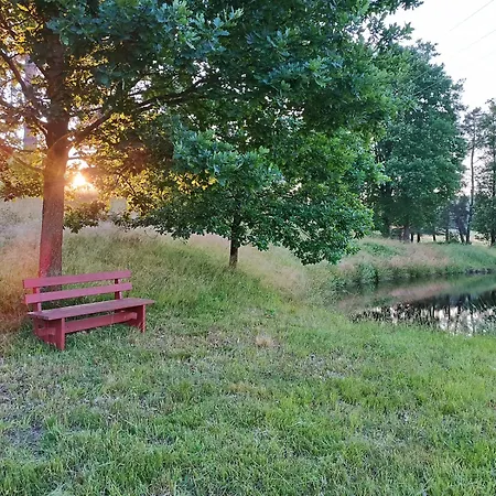 Klid Na Kraji Lesa V Ceske Kanade - Cely Dum 펜션 *