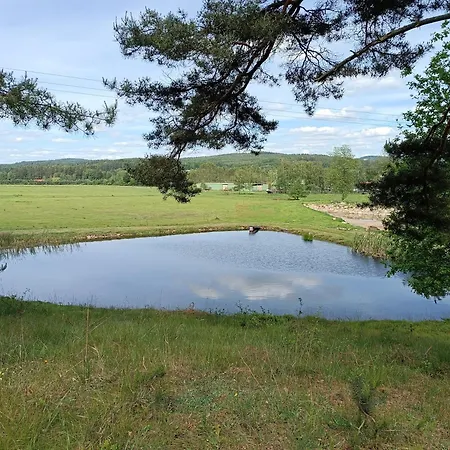 Klidna Lokalita Na Kraji Lesa, Cely Dum S Uschovnu Kol *