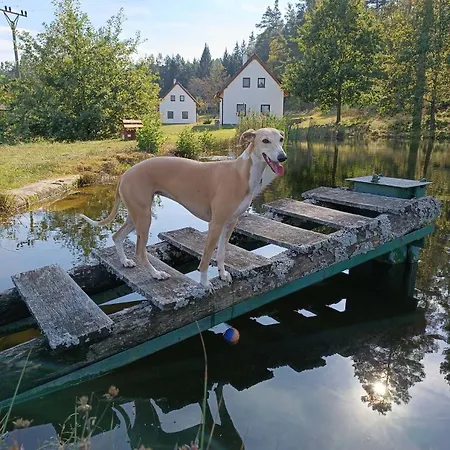 Сasa de vacaciones Klid Na Kraji Lesa - Celý Dům, česká Kanada Nová Bystřice
