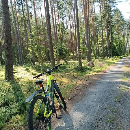 Klid Na Kraji Lesa V Ceske Kanade - Cely Dum *