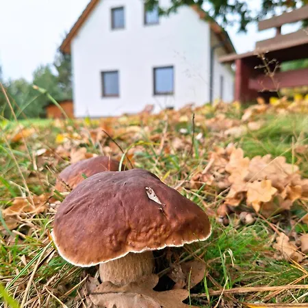 度假居 Klid Na Kraji Lesa V Ceske Kanade - Cely Dum Nová Bystřice